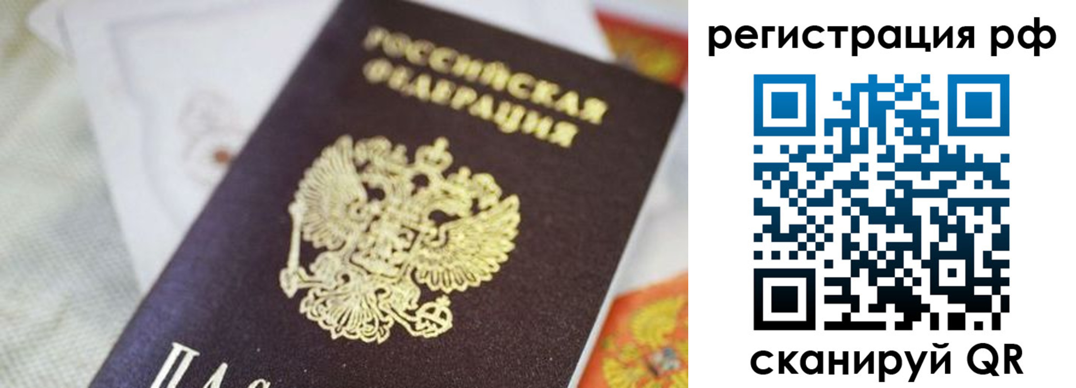 прописка гарантия в Курганинске